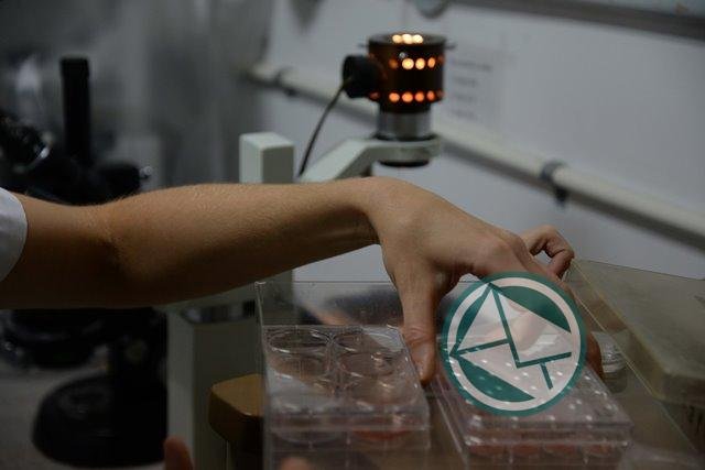 Se abrió la inscripción al IV Congreso Internacional de Ciencia y Tecnología