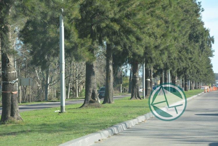 Operativo para retirar elementos de campaña electoral de la vía pública