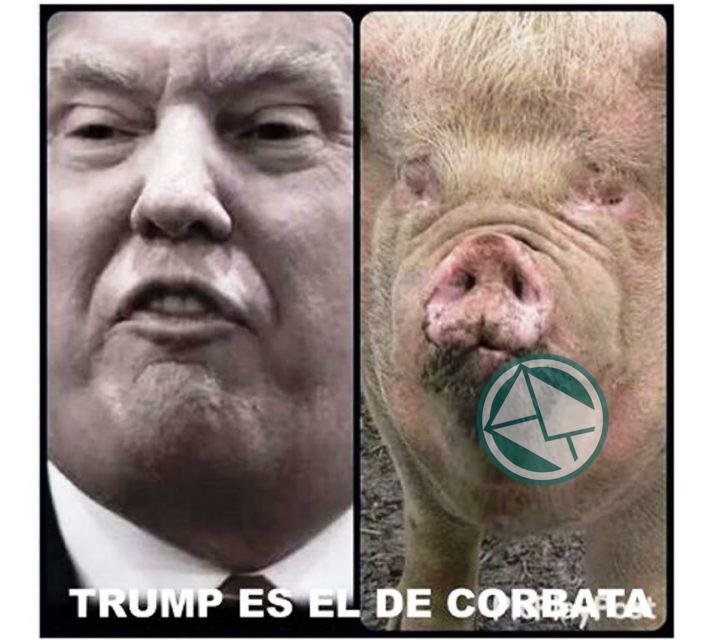 El chiquero y las matemáticas