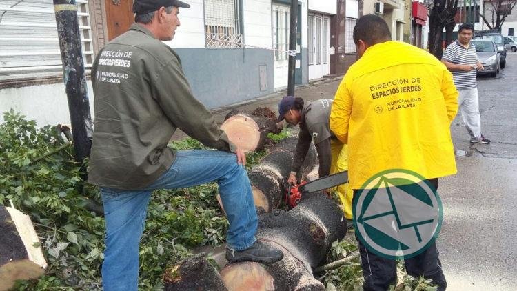 Operativo de monitoreo y asistencia ante las lluvias en La Plata