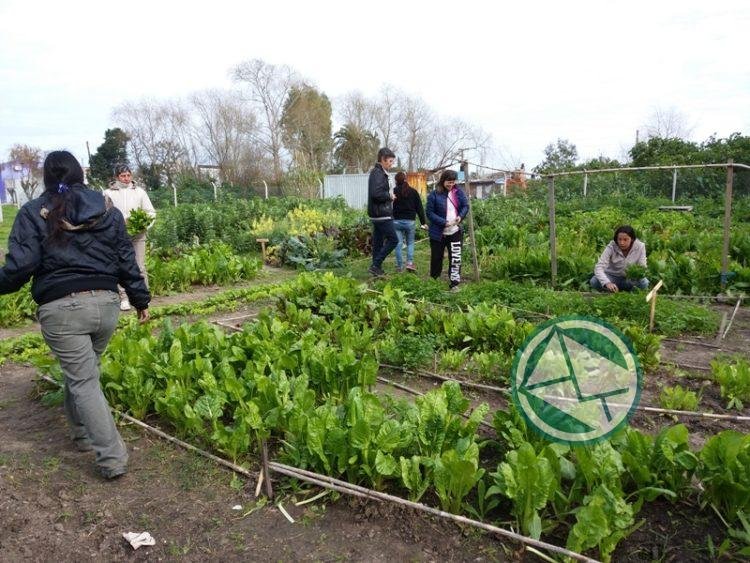 Cooperativistas desarrollan talleres en Ensenada para la economía social