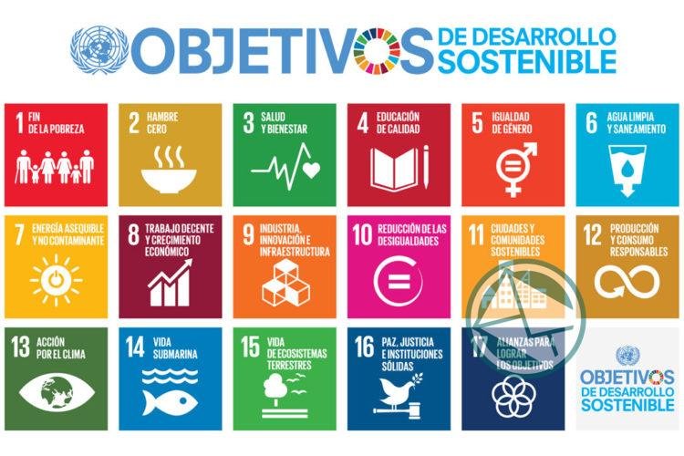 Desarrollo sostenible: un camino a seguir para la consolidación de la Argentina