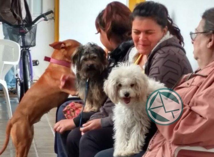 Se desarrollaron nuevas jornadas gratuitas de atención veterinaria en Abasto