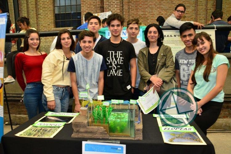 Alumnos de quinto año proponen utilizar plantas acuáticas para limpiar el Riachuelo