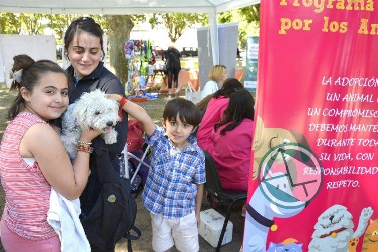La municipaidad de La Plata vacunó de forma gratuita a más de 900 mascotas en la última semana  