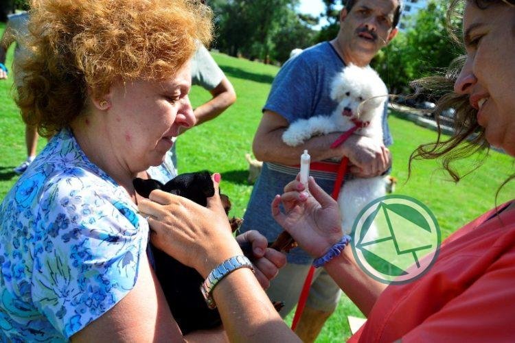 Se llevará a cabo la “I Jornada sobre Salud Pública Veterinaria” 