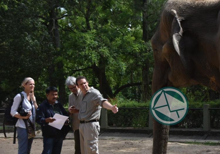 El especialista hindú ya se encuentra con Pelusa para evaluar su estado y profundizar el diagnóstico