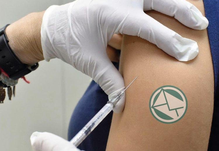 La Plata recomienda informarse sobre la prevención contra la fiebre amarilla La Plata recomienda informarse sobre la prevención contra la fiebre amarilla