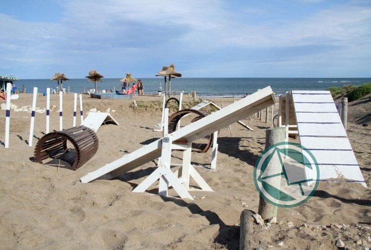 Mar del Plata cuenta con playa exclusiva para mascotas05