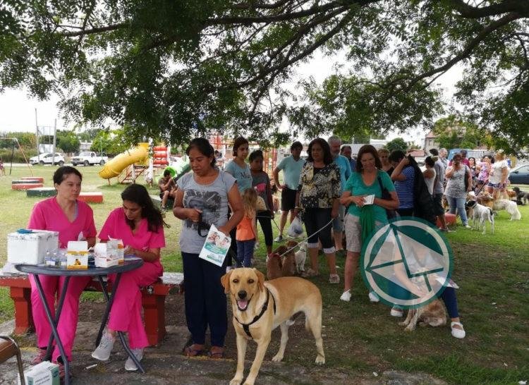 Más de 250 mascotas atendidas por el municipio de La Plata en Hernández