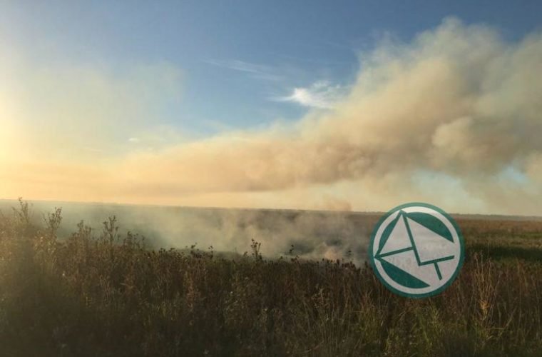 Se pudo controlar incendio en la Selva Marginal de Punta Lara Se pudo controlar incendio en la Selva Marginal de Punta Lara 4