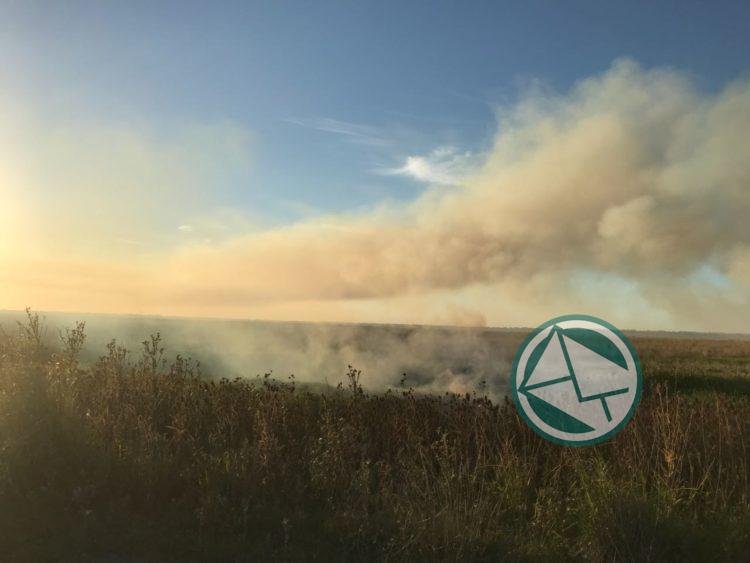 Se pudo controlar incendio en la Selva Marginal de Punta Lara