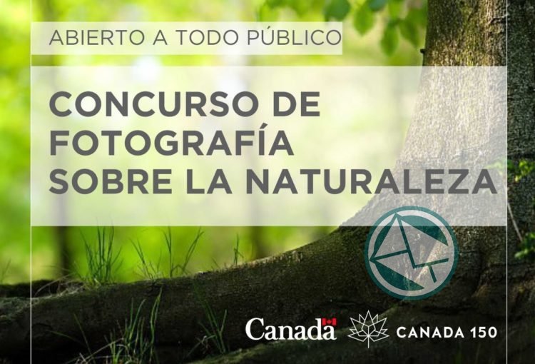 Realizan concurso que conjuga la fotografía con el cuidado del medio ambiente en La Plata