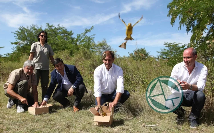 El Municipio de La Plata liberó a 35 aves que habían sido rescatadas del cautiverio