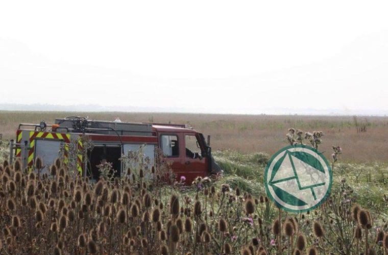 Se logó controlar un nuevo foco de incendio en la Selva Marginal de Punta Lara01