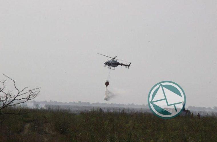 Se logó controlar un nuevo foco de incendio en la Selva Marginal de Punta Lara03