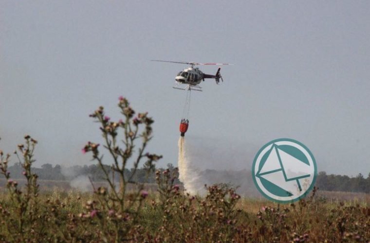 Se logó controlar un nuevo foco de incendio en la Selva Marginal de Punta Lara04