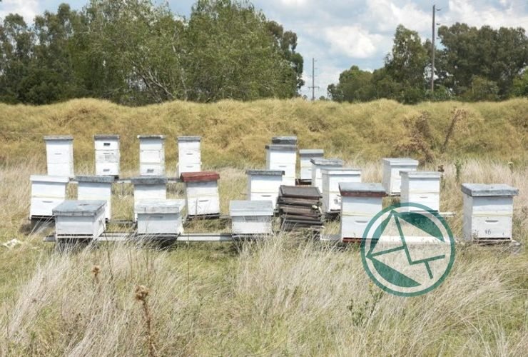 Agroindustria de la Nación visitaron a cooperativas y productores de Berisso 01