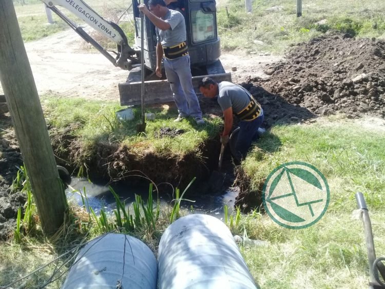 Mantenimiento en los barrios de la Delegación II de Berisso