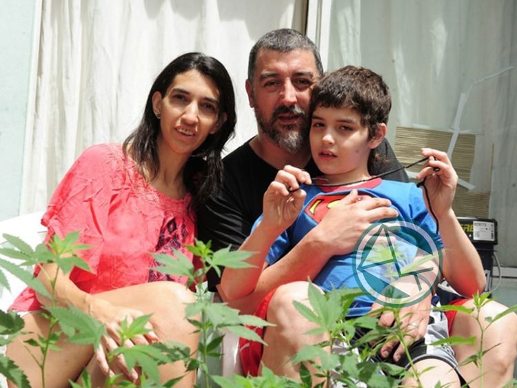 A un año de sancionada la Ley: “No hay forma de acceder a una terapia con cannabis” A un año de sancionada la Ley: “No hay forma de acceder a una terapia con cannabis”