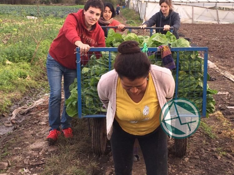 Feriazo en el Congreso Nacional ante la crisis del sector de las economías populares fruti-hortícolas