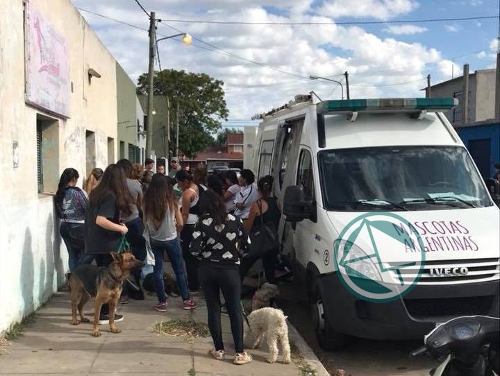 Jornada gratuita de castración y vacunación para mascotas en el Club El Carmen