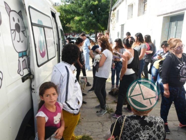 Actividades de veterinaria en distintos puntos de Berisso