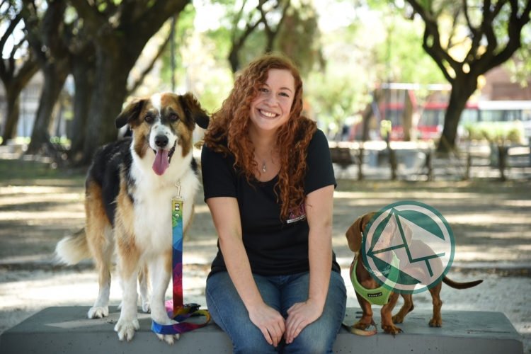 Semana del animal en La Plata: se vacunaron más de 1.200 mascotas Semana del animal en La Plata: se vacunaron más de 1.200 mascotas