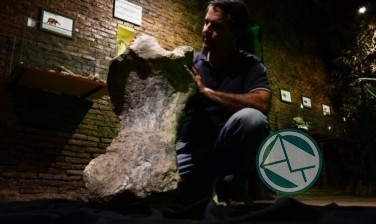 Descubren un perezoso de 700 mil años de antigüedad en la región