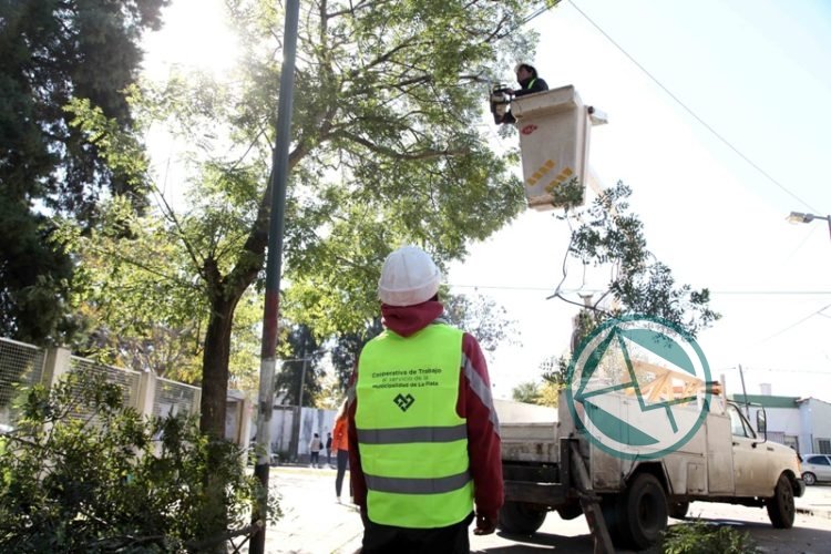 Garro anuncia el cumplimiento del primer objetivo de poda Garro anuncia el cumplimiento del primer objetivo de poda
