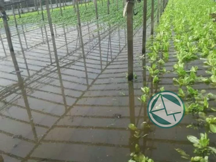 Organizaciones rurales exigen la Emergencia Agropecuaria en la Provincia