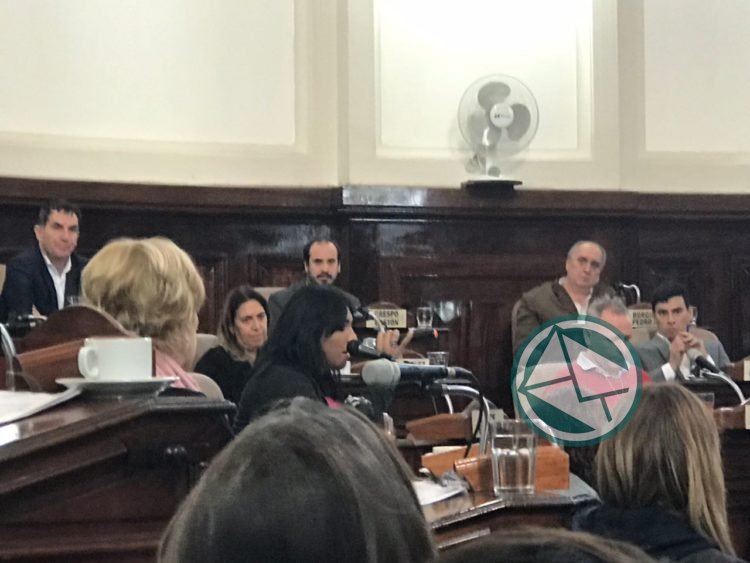La edil platense massista Rodríguez enojada porque el HCD no debate sus proyectos presentados