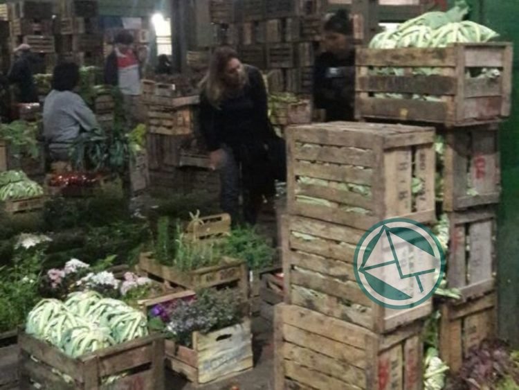 Concejales de la oposición recorrieron el Mercado Regional