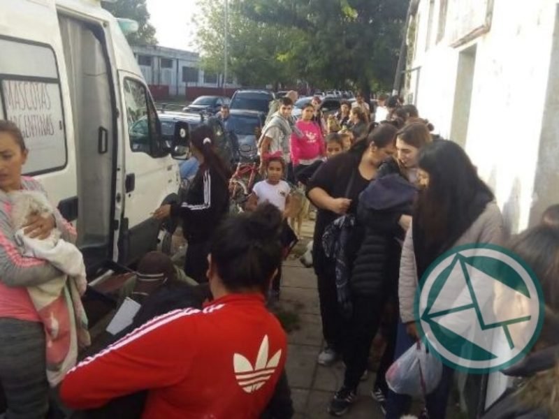 Se desarrolló la jornada de castración y vacunación antirrábica en El Carmen Se desarrolló la jornada de castración y vacunación antirrábica en El Carmen 02