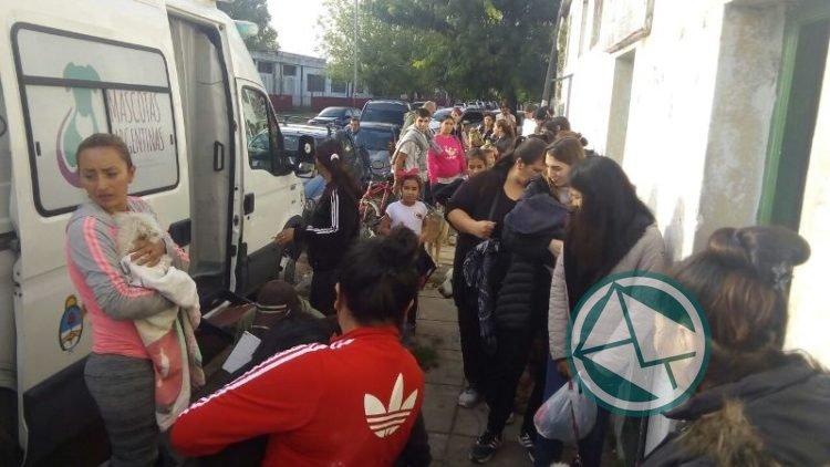 Vacunación antirrábica y castración en Berisso