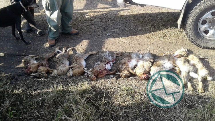 El OPDS realiza operativos para detectar cazadores furtivos