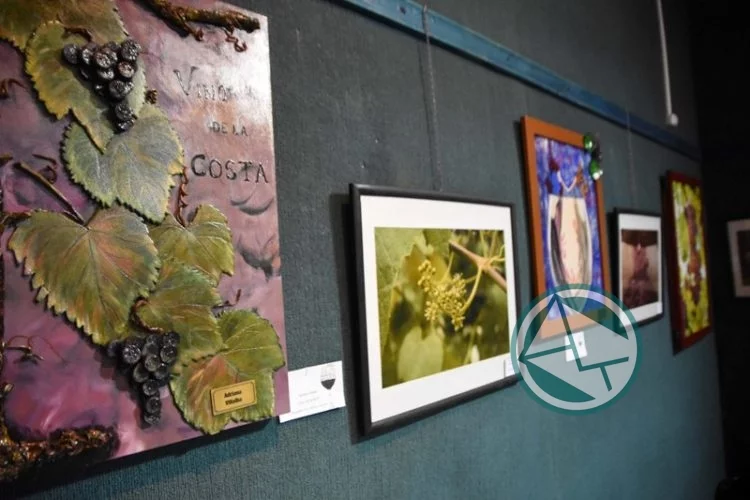 Muestra conjunta de pinturas y fotos “El arte en homenaje a los viñateros”