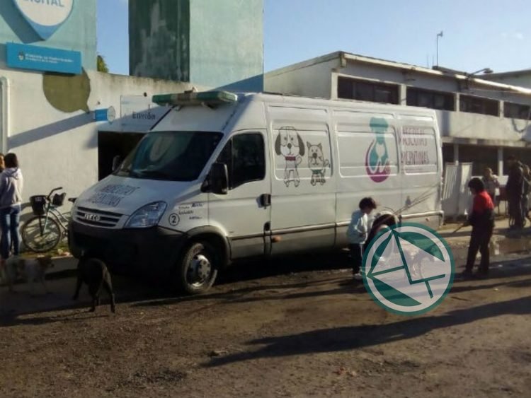 Se aplicaron 150 vacunas y se realizaron 50 castración gratuita de mascotas