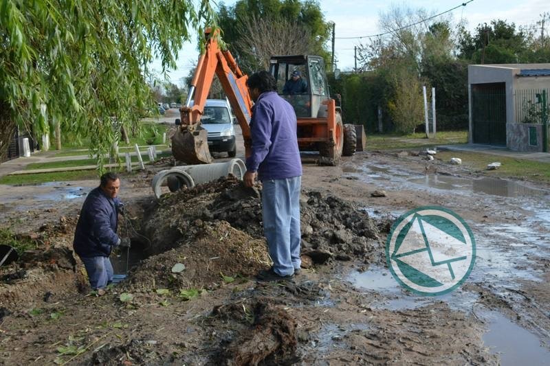 Tareas de mantenimiento en la zona de la Delegación II de Berisso