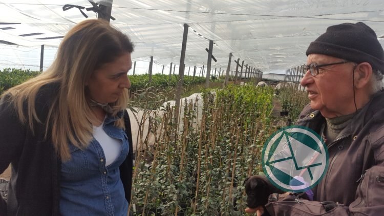 Virginia Rodriguez recorrió el cordón florihortícola platense para ver su situación Virginia Rodriguez recorrió el cordón florihortícola platense para ver su situación 2