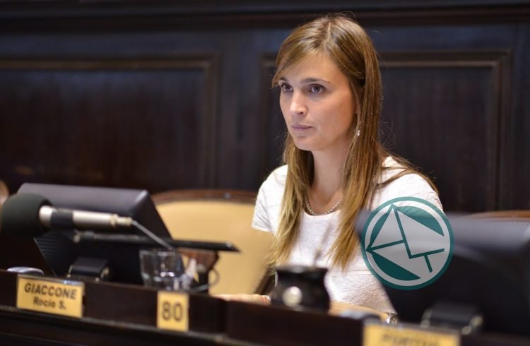 “No les gusta que los controlen”, aseveró la diputada bonaerense Giaccone de Vidal
