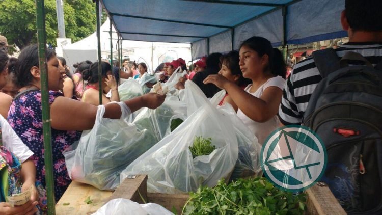 Convocan a un Verdurazo frente a la Sociedad Rural en CABA