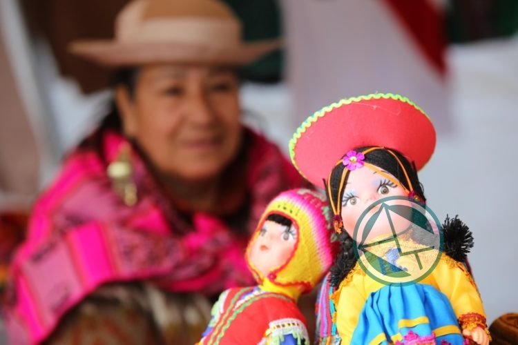 Una multitud se acercó a participar de la Quinta edición de “Perú Vive” 5º Perú Vive La Plata 4