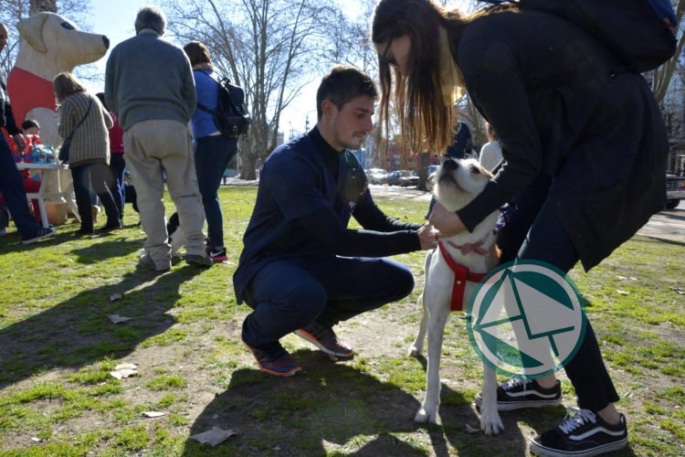 Jornadas de vacunación y desparasitación en distintas zonas de La Plata