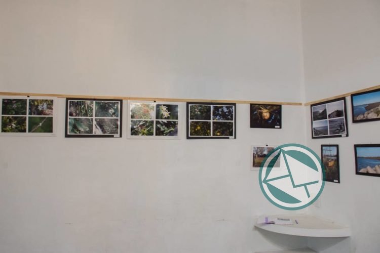 Exitosa muestra de cierre de cuatrimestre de los talleres de Fotografía y de Mosaiquismo en el CCyP Bajcic Muestra en el Bajcic1