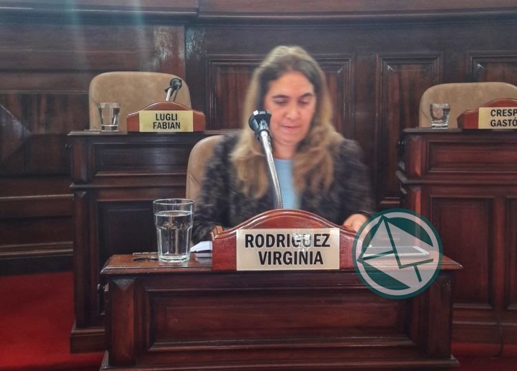 Virginia Rodríguez: "Es un plan sistemático de ajuste a la medida del FMI"