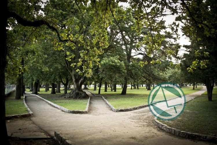 Convocatoria para incorporar 50 nuevos inspectores de arbolado y espacio público en La Plata Convocatoria para incorporar 50 nuevos inspectores de arbolado y espacio público en La Plata
