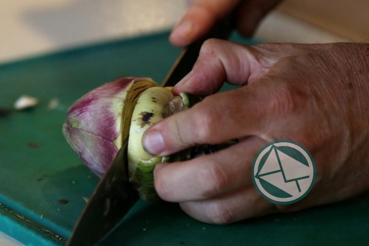 “Circuito del alcaucil platense” en bares y restaurantes de La Plata y CABA