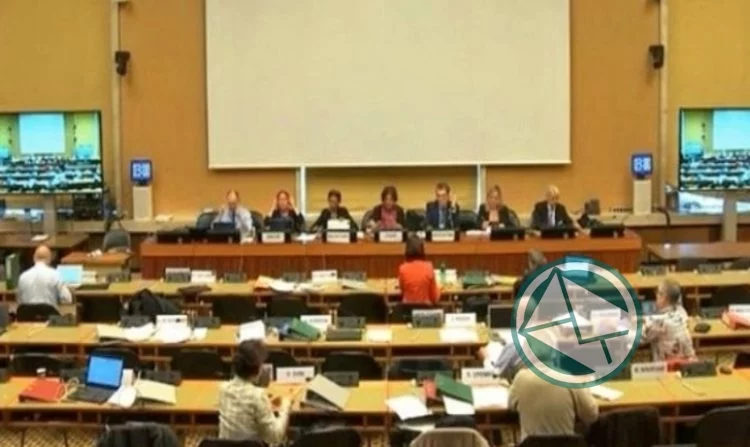 Organismo de la ONU advierte sobre la desigualdad social y los derechos que sufren los argentinos Organismo de la ONU advierte sobre la desigualdad social y los derechos que sufren los argentinos
