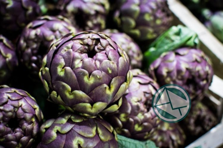 La Fiesta del Alcaucil Platense llega este fin de semana a la Plaza Moreno